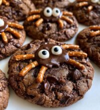 Chocolate Spider Cookies