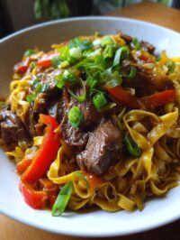 beef noodles