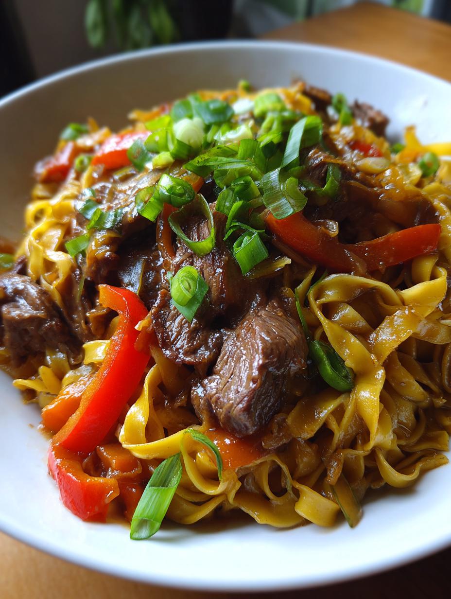 beef noodles