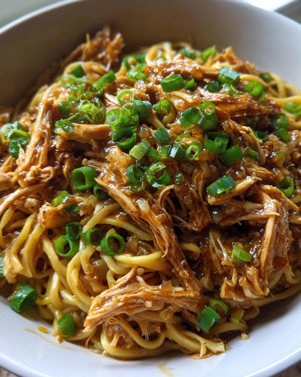 crockpot honey garlic chicken with noodles - detail 1